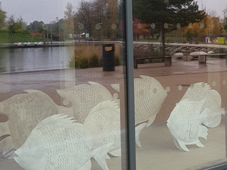 Schools' Ocean Trail Project