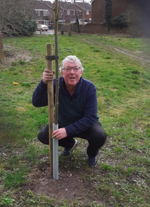 Newport Tree Project